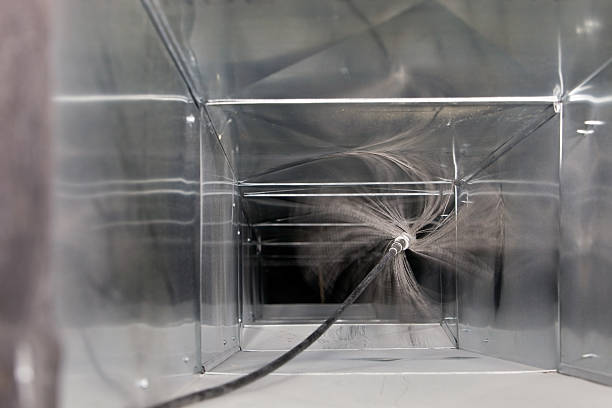 Air Duct Mold Removal in Reno, NV