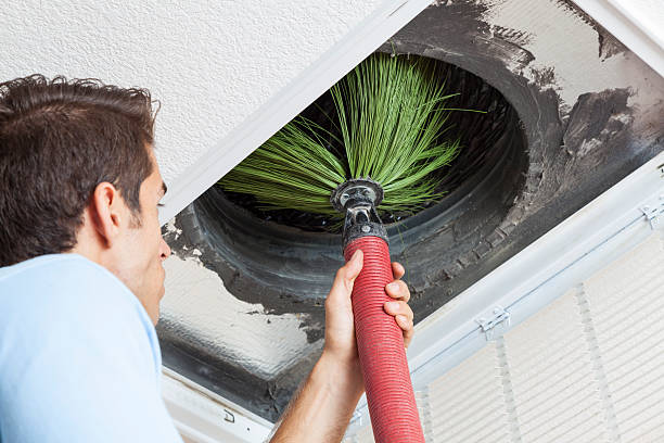 Best Affordable Duct Cleaning Services  in Reno, NV